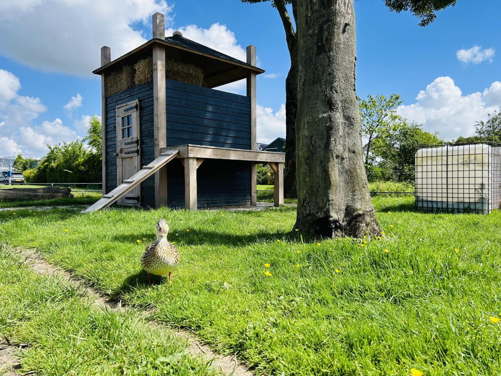 Bungalowpark De Horn - Floresta 215 Dirkshorn Exteriör bild
